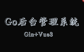 Gin+Vue3开发后台管理系统|完结无密