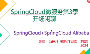 尚硅谷-2024最新版SpringCloud教程