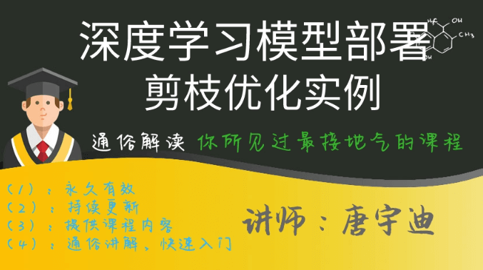 深度学习模型部署与剪枝优化实例