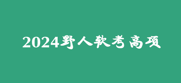 2024年5月野人软考高项