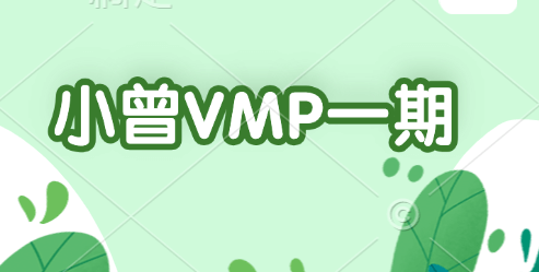 小曾VMP一期