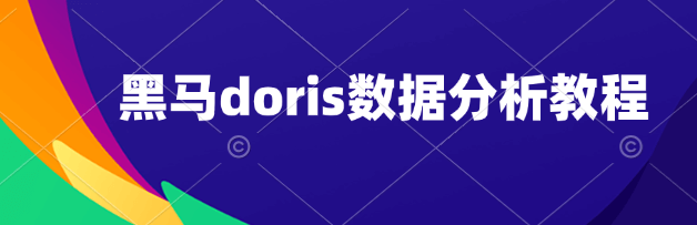 黑马doris数据分析教程